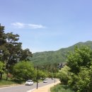 [대회 후기] 갤러리 참관! 삼천리배 전국산악자전거대회 - 무주리조트