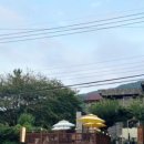 풀뿌리 흑두부 이미지