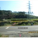 모가울농장 | 금북정맥 15구간 모가울고개에서 금강산까지 산행후기