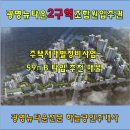 대지로2R 이미지