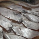 낭만고등어 이미지