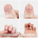 소랑네일 | 네일스티커 젤네일스티커 셀프네일 아이네일스타터패키지 네일스티커후기 셀프네일하는법