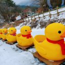 산정호수마을회 이미지