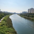 면목동-233 이미지