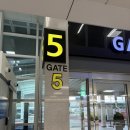 오토카 | 롯데렌터카 제주오토하우스 제주 단기렌트 내돈내산 후기