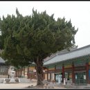 석담창고