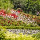 계양산 계양공원 이미지