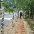 박달재휴양림 이미지