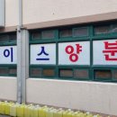 그린양분식