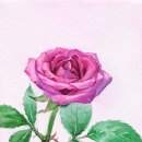 순수창아취미미술교습소