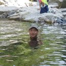 지리산민들레 이미지