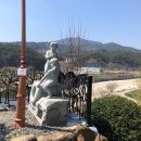 금계포란 이미지