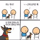 다5다 이미지