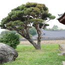 영암군 덕진면 이우당(송양사), 영보정, 존양루, 삼성당 고택
