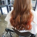 트레보헤어 이미지
