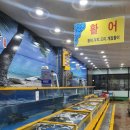 일산수산물시장 솔직후기(내돈내산)