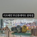 리프패럿 롯데마트 광복점 이미지