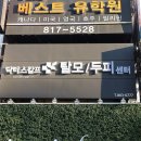 앤트헤어라인 - 수원시 팔달구 | 앤트헤어라인