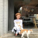 예설 이미지