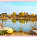 한밭수목원 이미지