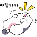 협동조합 모래내벨칸토 이미지