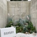 메이데이(2동) | [내돈내산] 여주아울렛 뷰맛집 신상카페 이탈리안 전문점 메이데이(MAYDAY) 방문 후기