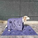 538 쇼핑하우