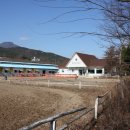 통도승마랜드 이미지