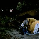 솔바람 파도소리 이미지