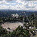 리코메드 이미지