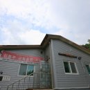 웰리스팜 이미지