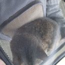 유스동물병원 이미지