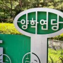 양학농장 이미지