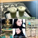 비치코스메틱 | 코스메틱 회사 인턴 1달 남은 평범한 일상 ... (feat. 오랜만에 놀러간 부산 🌊, 서울 곳곳 맛집 탐방기 🍽️)