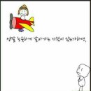 용인대 미르 태권도 이미지