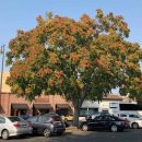 (주)풀과나무 이미지