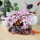 취미 | 레고 조립 취미 후기 직접 만든 레고 작품 모음