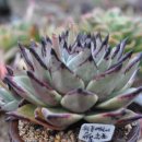 송정하우스 이미지