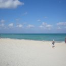 카리브해 이미지