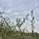 원선농장 이미지