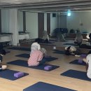 몸과 마음이 건강해지는 힐링요가 | 몸과 마음이 함께 건강해지는 시간 — 웰니스 요가 🧘