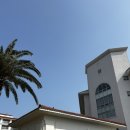 패밀리(84) | 제주 서귀포 소노캄 제주 런트립 6k 참여 후기 / 소노캄 제주 패밀리 클린 숙박 후기