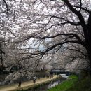 울산 궁거랑축제 이미지