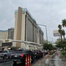 그랜드여관 | 라스베가스 호텔 추천 홀스슈 호텔 가성비 좋은 내돈내산 솔직 후기