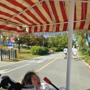 사랑이의 주말이야기 이미지