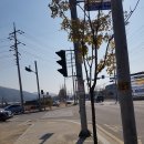 2018년 11월 02일 용인 백암면 여행 후기 와 백암순대국 후기