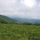 곰배령 주니네 이미지