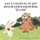 음식동화