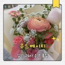 천일카센타 | 일산꽃집 무드베이지, 친구 청모 선물로 준비한 싱싱한 일산꽃다발 후기