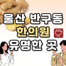 서동한의원 | 울산 중구 반구동 한의원 추천 TOP5 양심 한의원 유명한 곳
